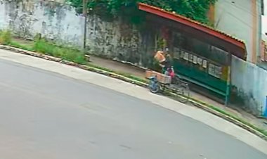 Homem abandona quatro filhotes de cachorro em parada de ônibus no Centro e foge